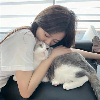毒枭的末日